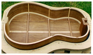 classical guitar in mould